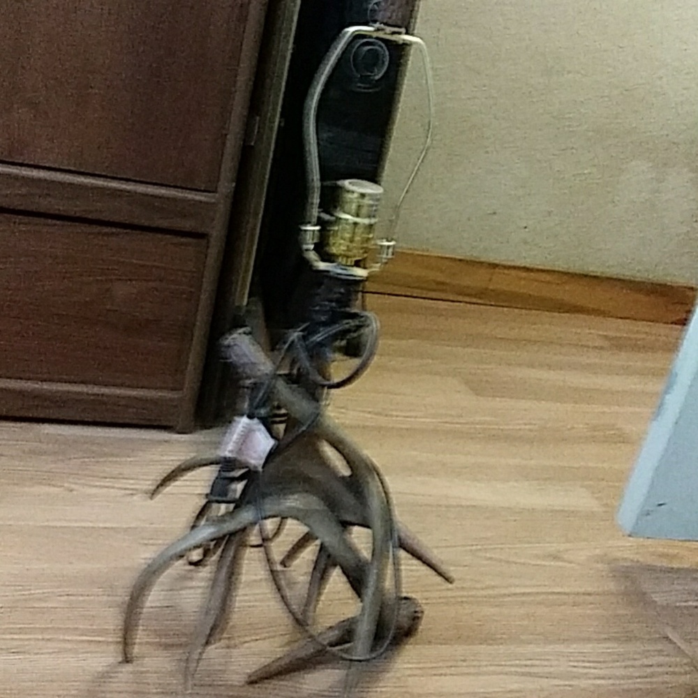 Antler lamp